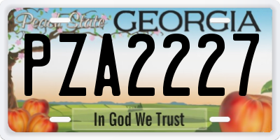 GA license plate PZA2227