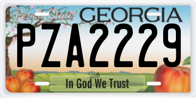 GA license plate PZA2229