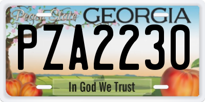 GA license plate PZA2230