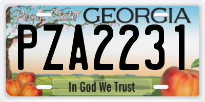 GA license plate PZA2231