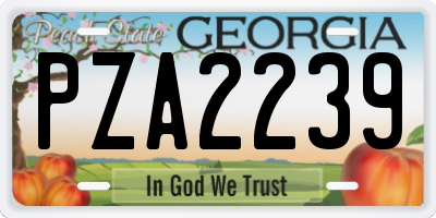 GA license plate PZA2239