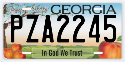 GA license plate PZA2245