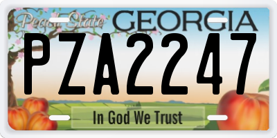 GA license plate PZA2247