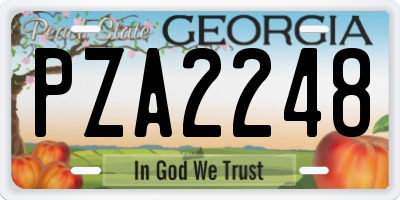 GA license plate PZA2248