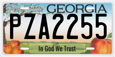 GA license plate PZA2255