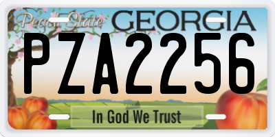 GA license plate PZA2256