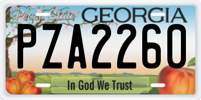 GA license plate PZA2260