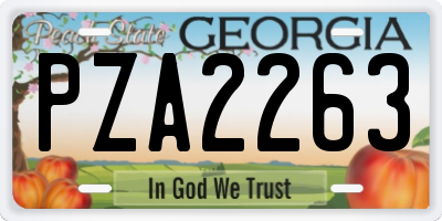 GA license plate PZA2263