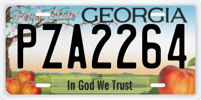 GA license plate PZA2264