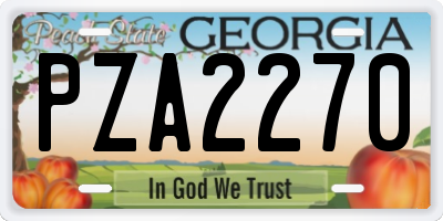 GA license plate PZA2270