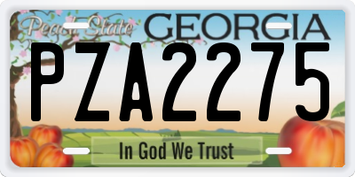 GA license plate PZA2275