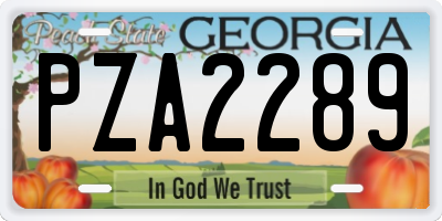 GA license plate PZA2289