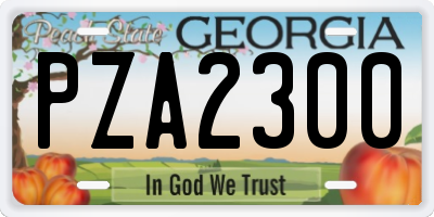 GA license plate PZA2300
