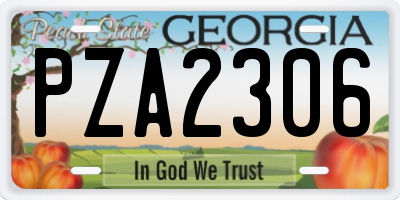 GA license plate PZA2306