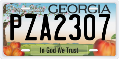 GA license plate PZA2307