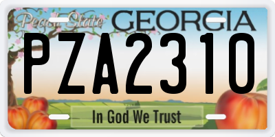 GA license plate PZA2310