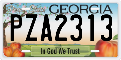 GA license plate PZA2313