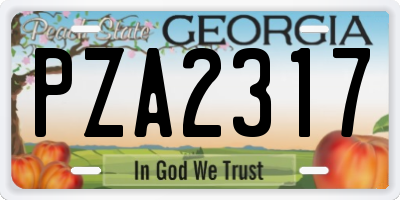 GA license plate PZA2317
