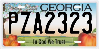 GA license plate PZA2323