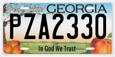 GA license plate PZA2330