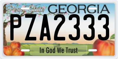 GA license plate PZA2333