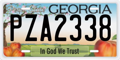 GA license plate PZA2338