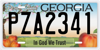GA license plate PZA2341