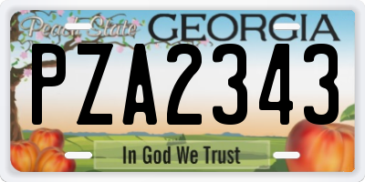 GA license plate PZA2343