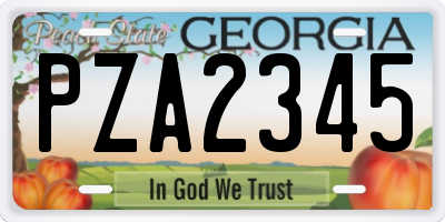 GA license plate PZA2345