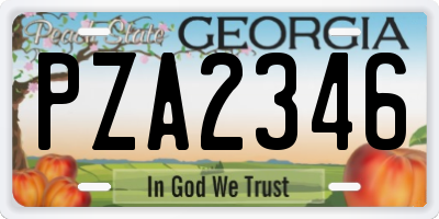 GA license plate PZA2346