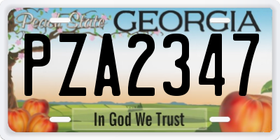 GA license plate PZA2347