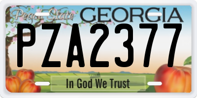 GA license plate PZA2377