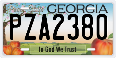 GA license plate PZA2380
