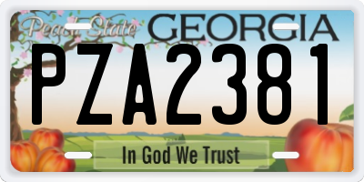 GA license plate PZA2381