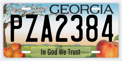 GA license plate PZA2384