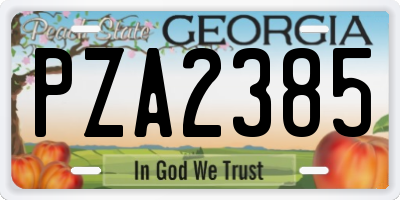 GA license plate PZA2385