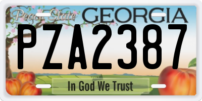 GA license plate PZA2387