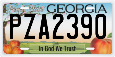 GA license plate PZA2390