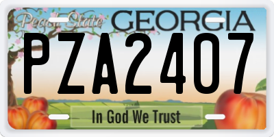 GA license plate PZA2407