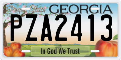 GA license plate PZA2413