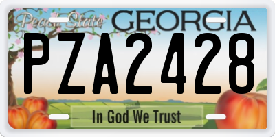 GA license plate PZA2428