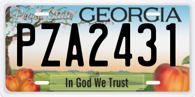 GA license plate PZA2431
