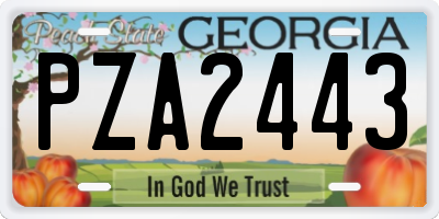 GA license plate PZA2443