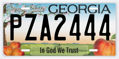 GA license plate PZA2444