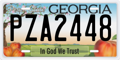 GA license plate PZA2448