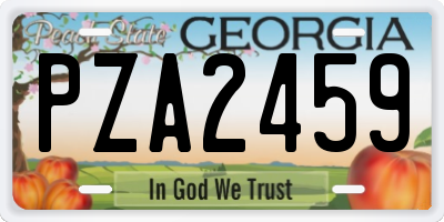 GA license plate PZA2459