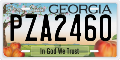GA license plate PZA2460