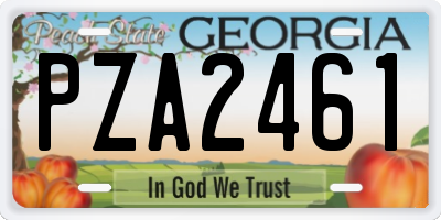 GA license plate PZA2461
