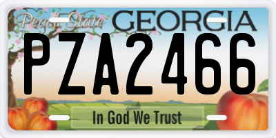 GA license plate PZA2466