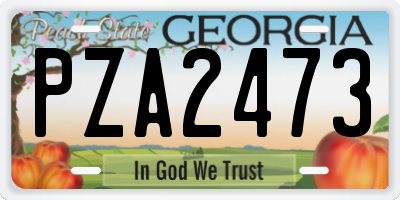 GA license plate PZA2473